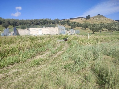 Foto Terreno agricolo in e90 1, Squillace di 29000 m² in vendita