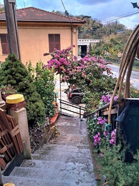 immagine annuncio 13 di 14