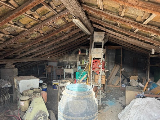 immagine annuncio 11 di 14