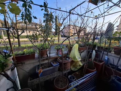 immagine annuncio 7 di 15