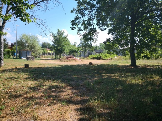 immagine annuncio 1 di 7