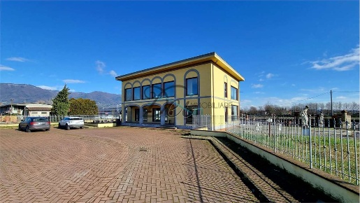 Foto Negozio in Via Pesciatina 200, Capannori Lammari - Lunata di 350 m²
