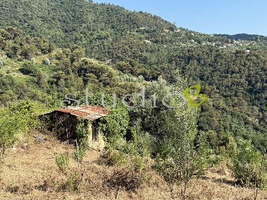Foto Terreno edificabile in Via Provinciale  snc, Seborga di 540 m²