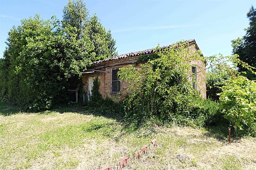 immagine annuncio 6 di 8
