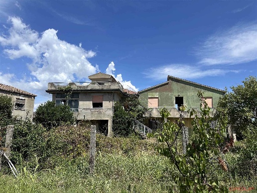 immagine annuncio 9 di 14