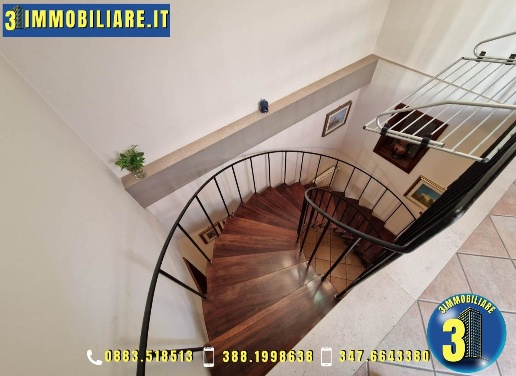 immagine annuncio 6 di 14