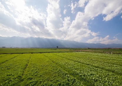 Foto Terreno agricolo a Chioggia Borgo San Giovanni di 1100 m² in vendita