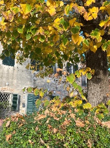 Foto Villa a schiera a Capannori Verciano - Guamo di 250 m² con 8 locali