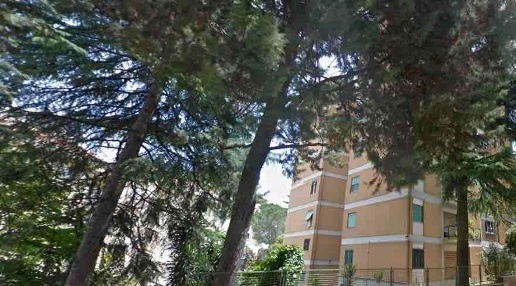 immagine annuncio 6 di 7