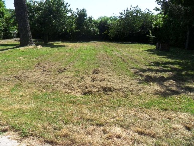 Foto Villa unifamiliare a Sarzana di 300 m² con 10 locali in vendita