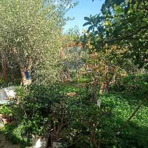 Foto Terreno agricolo in Contrada Poggio del Lupo, Misterbianco di 674 m²