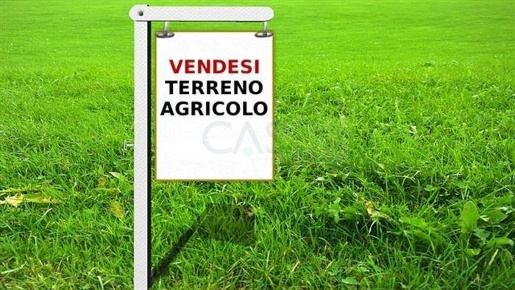 Foto Terreno agricolo in Contrada  San Savino, Ripatransone di 6600 m²