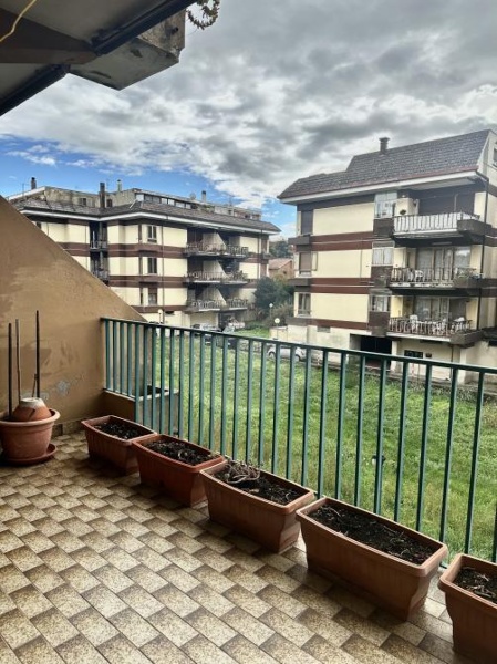 immagine annuncio 2 di 12