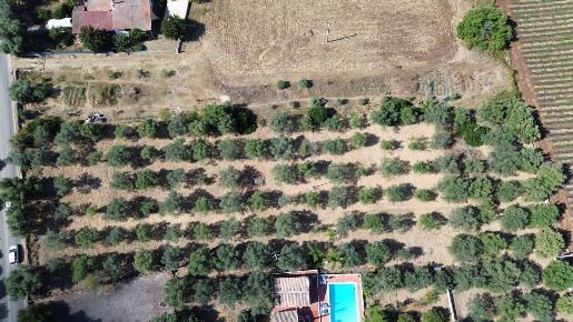 Foto Terreno agricolo in STRADA PER OGNINA, Siracusa Arenella di 5700 m²