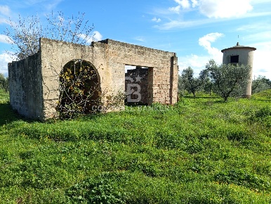 Foto Rustico in Contrada Vita Case Rosse, Galatina di 200 m² con 4 locali