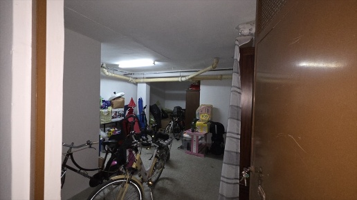 immagine annuncio 12 di 14