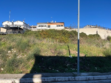 Foto Terreno agricolo in Via delle Mele, Segni di 900 m² in vendita