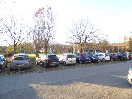 immagine annuncio 6 di 7