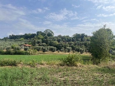 Foto Terreno agricolo a Puegnago del Garda Castello di 13000 m² in vendita