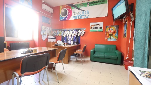 immagine annuncio 6 di 14