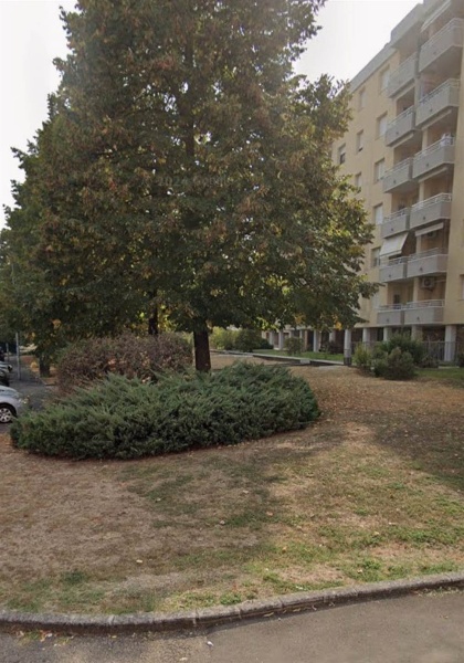 immagine annuncio 2 di 8