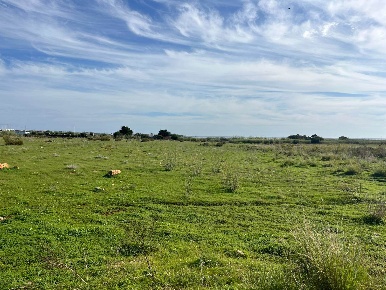Foto Terreno agricolo in C.da Cavarra, Portopalo di Capo Passero in vendita