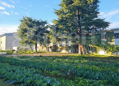 Foto Capannone industriale in Via G. Garibaldi 52/54, Botticino di 2383 m²