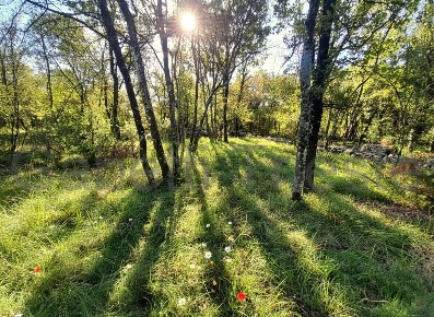 Foto Terreno agricolo a Sgonico Borgo Grotta Gigante di 460 m² in vendita