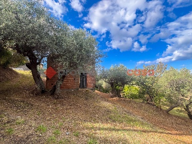Foto Terreno agricolo in Via Traimbeni snc, Pace del Mela Centro di 3900 m²