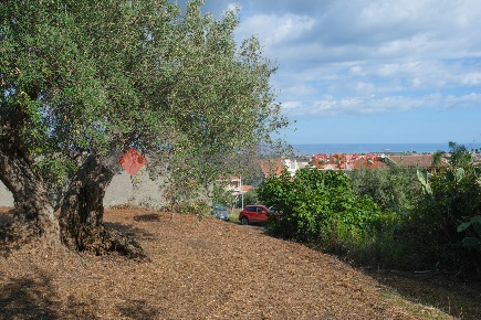Foto Terreno agricolo in Via Finata II snc, Pace del Mela Centro di 2000 m²