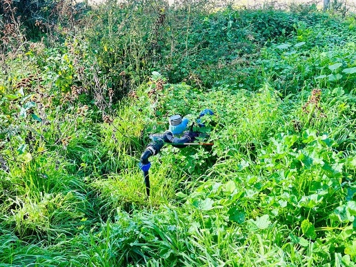 immagine annuncio 13 di 14