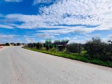 Foto Terreno agricolo a Vittoria di 9700 m² in vendita