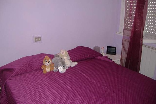 immagine annuncio 3 di 7