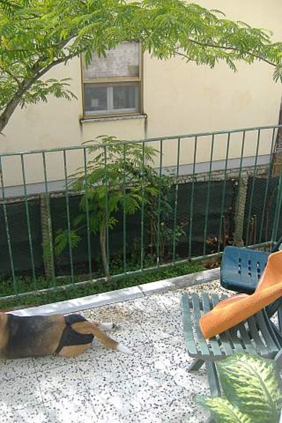 immagine annuncio 5 di 7