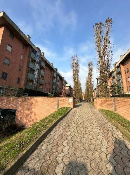 immagine annuncio 9 di 14