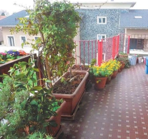 immagine annuncio 1 di 8