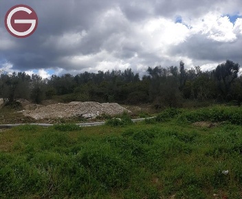 Foto Terreno industriale a Cittanova di 2366 m² in vendita