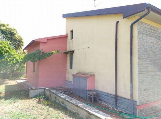 immagine annuncio 2 di 6