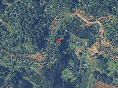 Foto Terreno residenziale a Terranuova Bracciolini in vendita