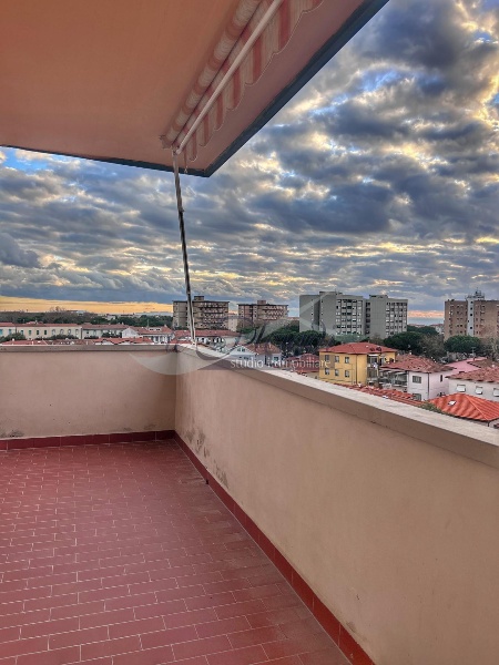 immagine annuncio 2 di 14