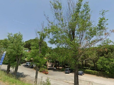 Foto Terreno residenziale a Chiusi della Verna Querce Al Pino di 30741 m²