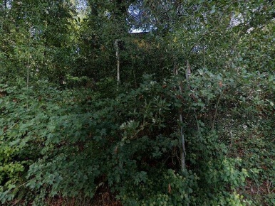 Foto Appartamento a Montevarchi Frazioni Collinari di 293 m² in vendita