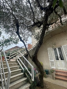 Foto Villa unifamiliare a Rosignano Marittimo Rosignano Solvay di 200 m²