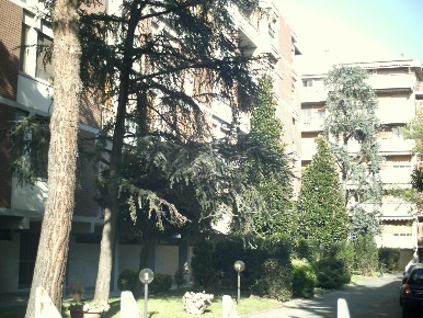 Foto Appartamento a Pisa Porta a Lucca di 12 m² con 4 locali in affitto