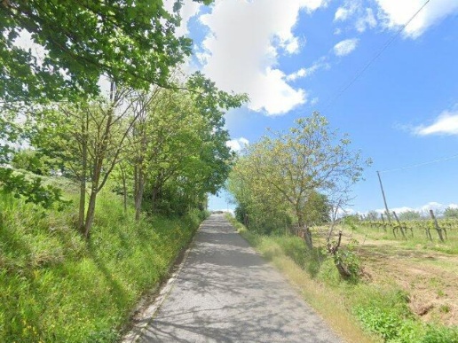 immagine annuncio 1 di 2