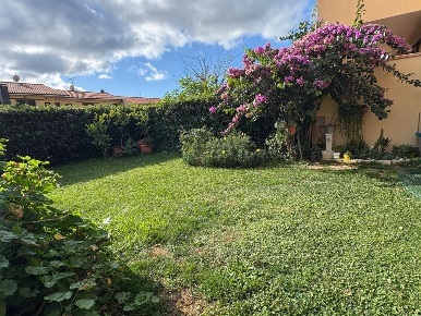 Foto Appartamento a Bibbona Centro di 50 m² con 3 locali in vendita