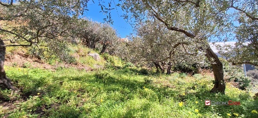 Foto Terreno edificabile in Rodia, Messina Ortoliuzzo - San Saba di 1000 m²