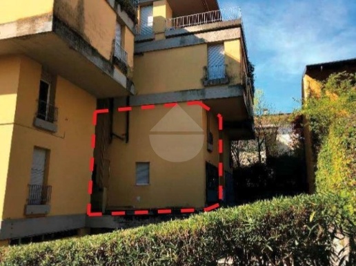 immagine annuncio 12 di 13