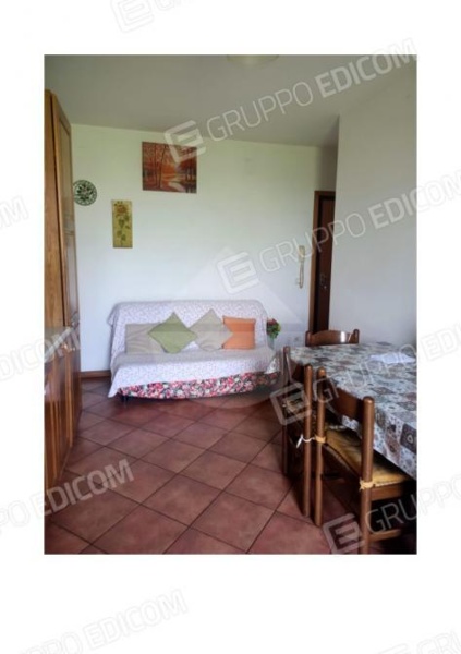 immagine annuncio 6 di 9