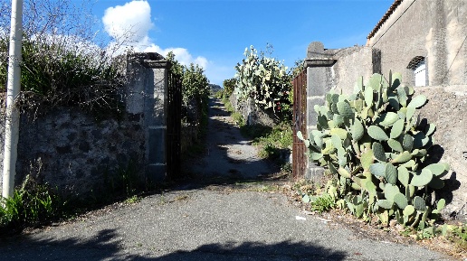 Foto Terreno agricolo in Via Ariazza Passagliastro, Mascali di 65000 m²